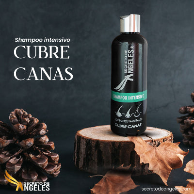 SHAMPOO CUBRE CANAS